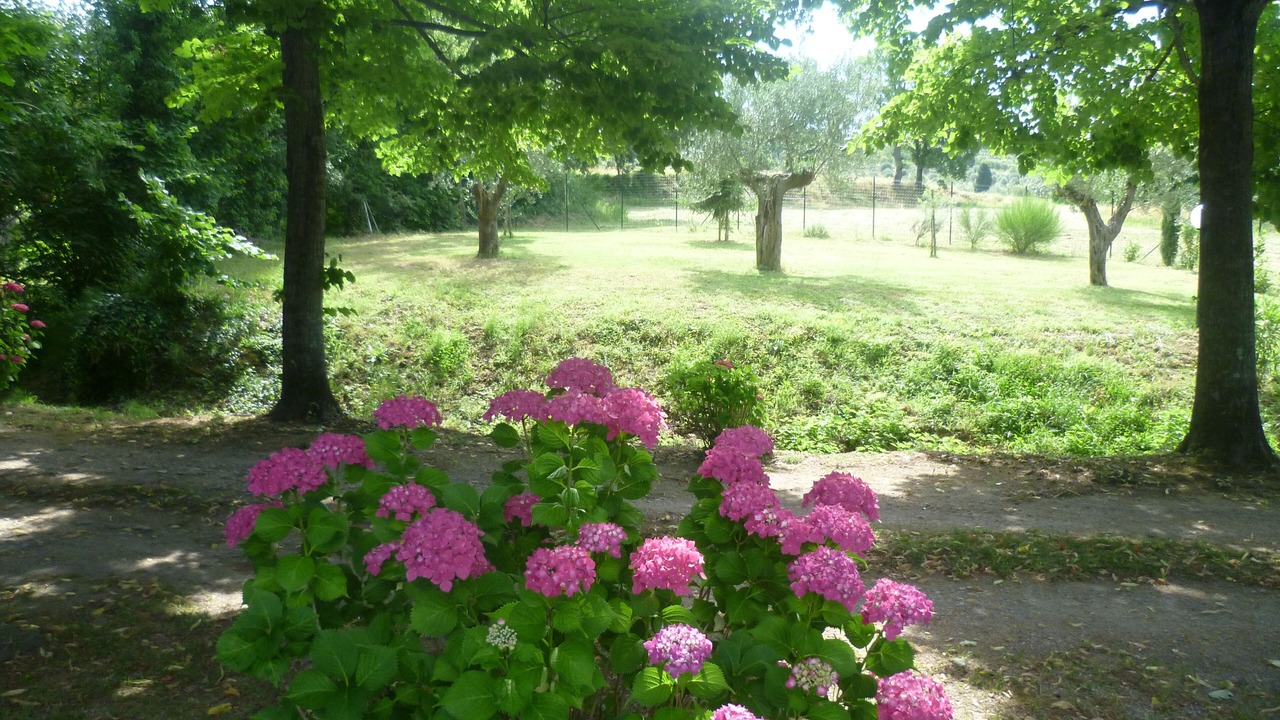 Photo of Outdoor in Tuoro sul Trasimeno