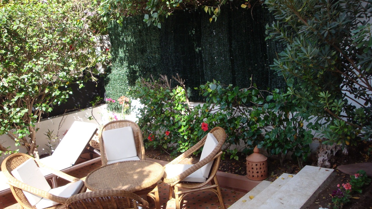 Photo of Patio Balcony in Cite Charaf