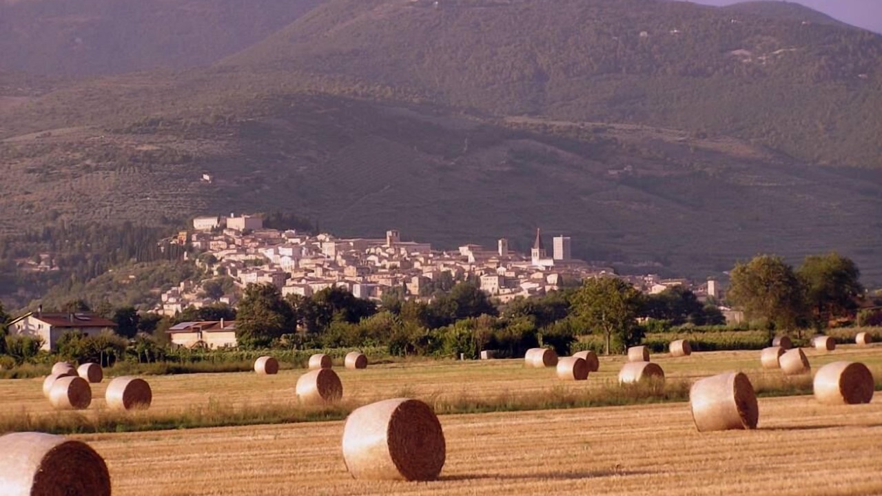 Photo of Others in Spello