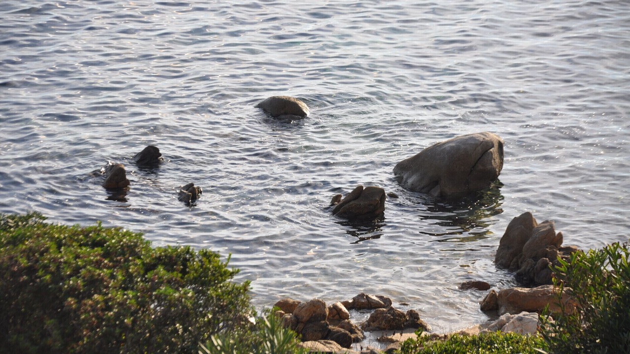 Photo of Others in Baia Caddinas