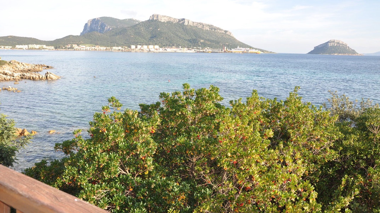 Photo of Others in Baia Caddinas