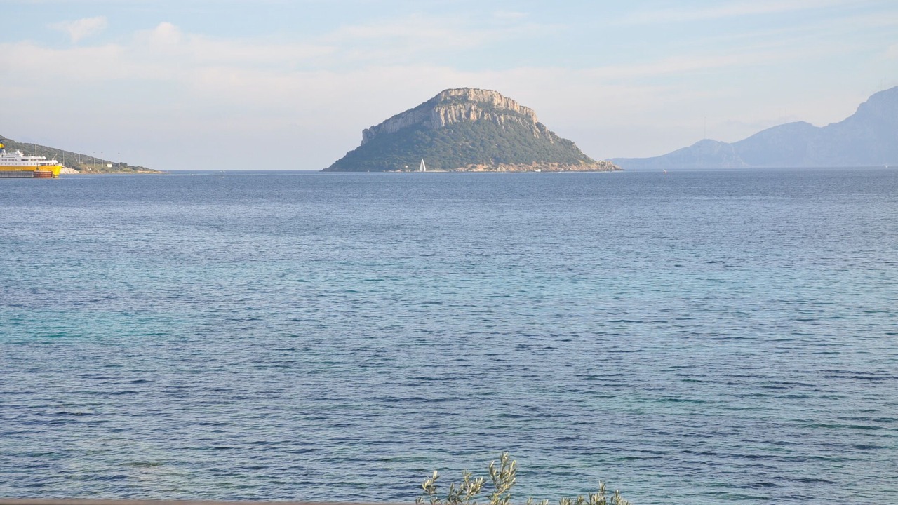 Photo of Others in Baia Caddinas