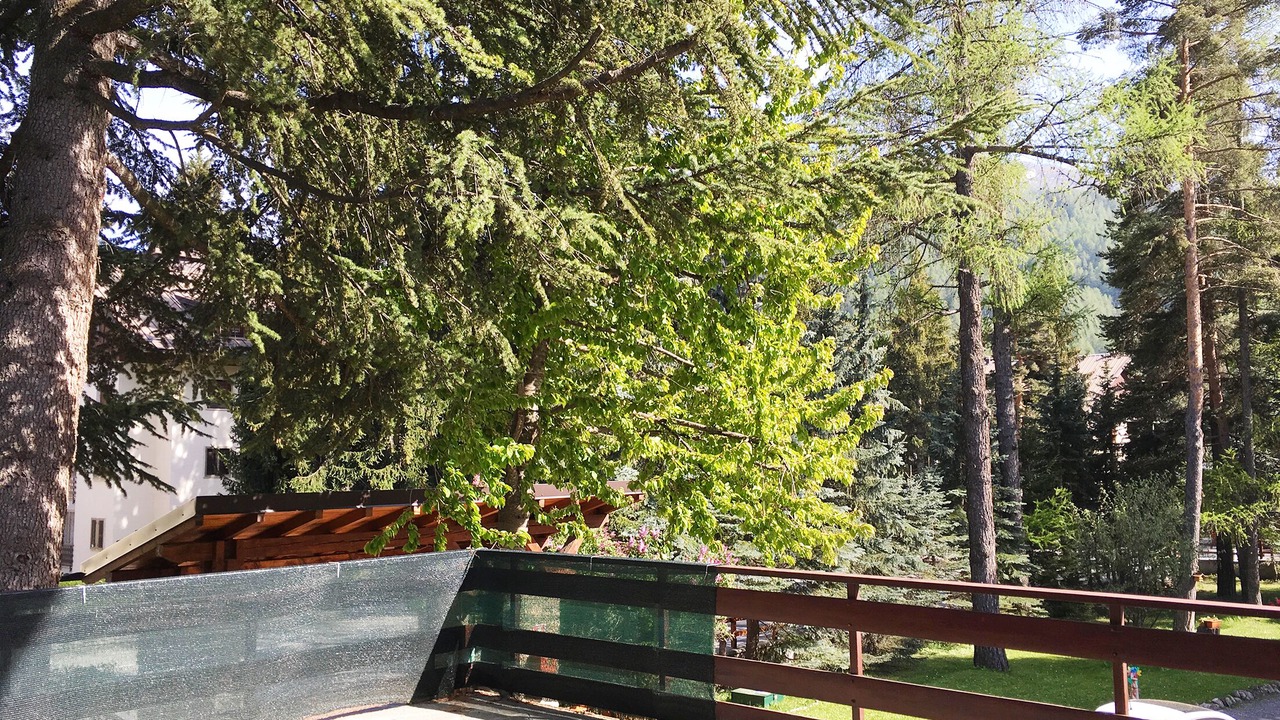 Photo of Outdoor in Bardonecchia