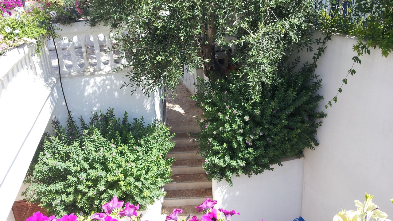 Photo of Outdoor in Mattinata