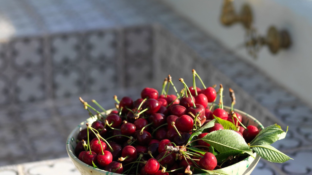 Photo of Others in Ostuni