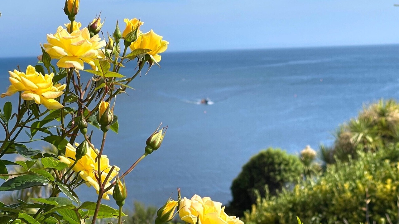Photo of Outdoor in Mousehole