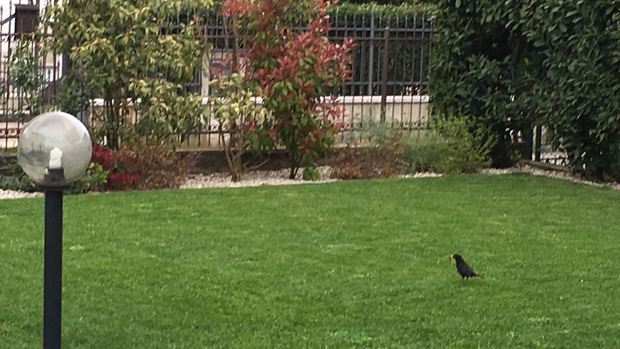 Photo of Outdoor in Peschiera del Garda