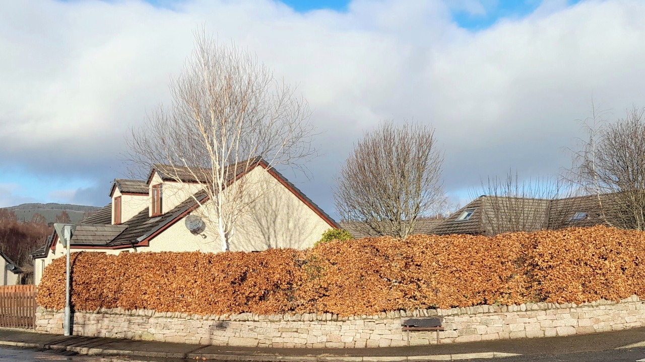 Photo of Outdoor in Aviemore