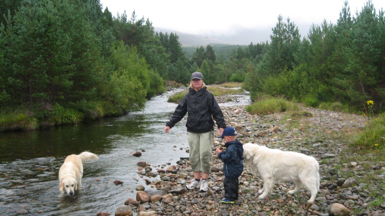 Photo of Others in Aviemore