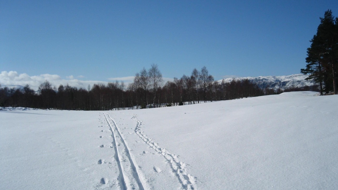 Photo of Others in Aviemore