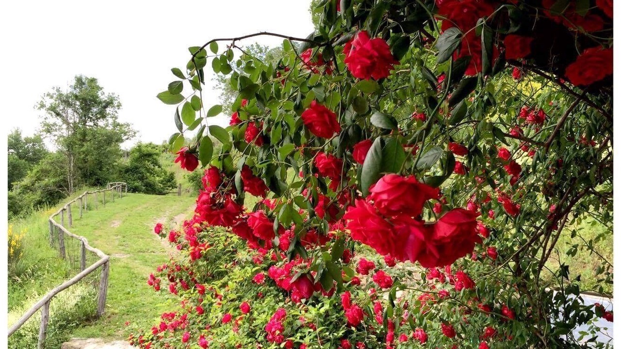 Photo of Outdoor in Mologno