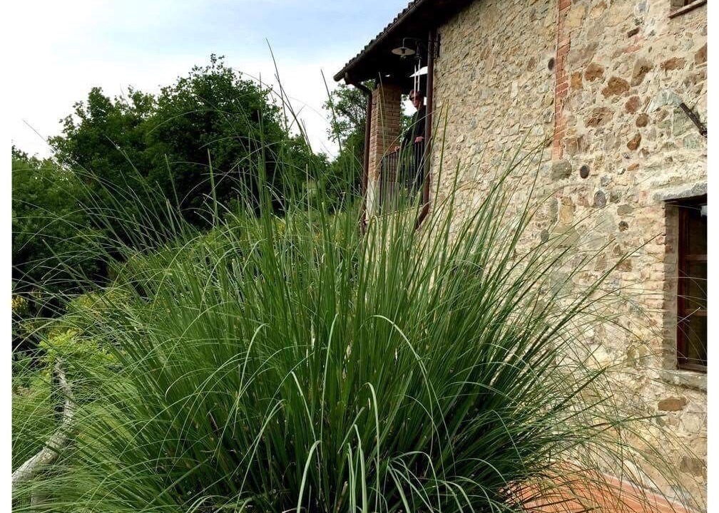 Photo of Outdoor in Mologno