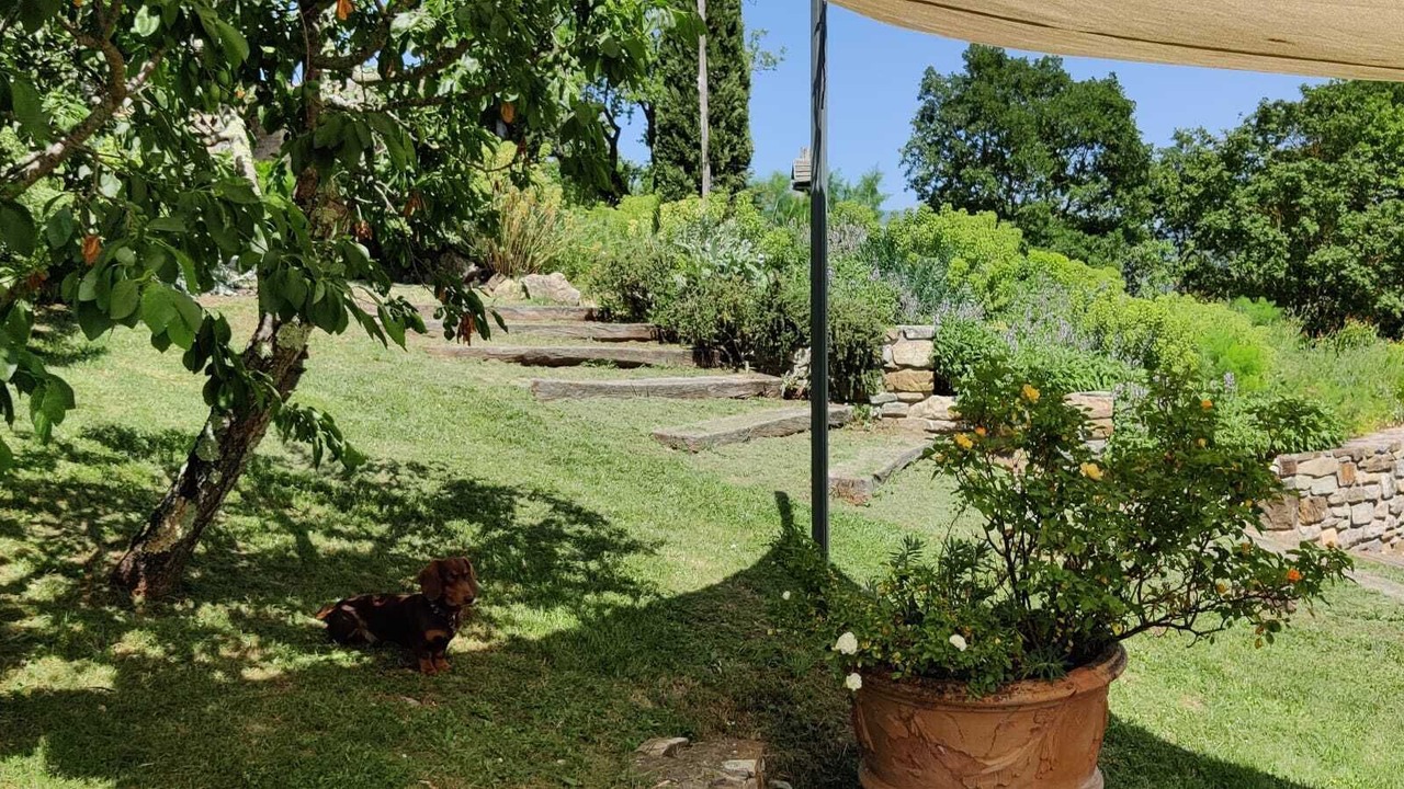Photo of Outdoor in Pieve Santo Stefano