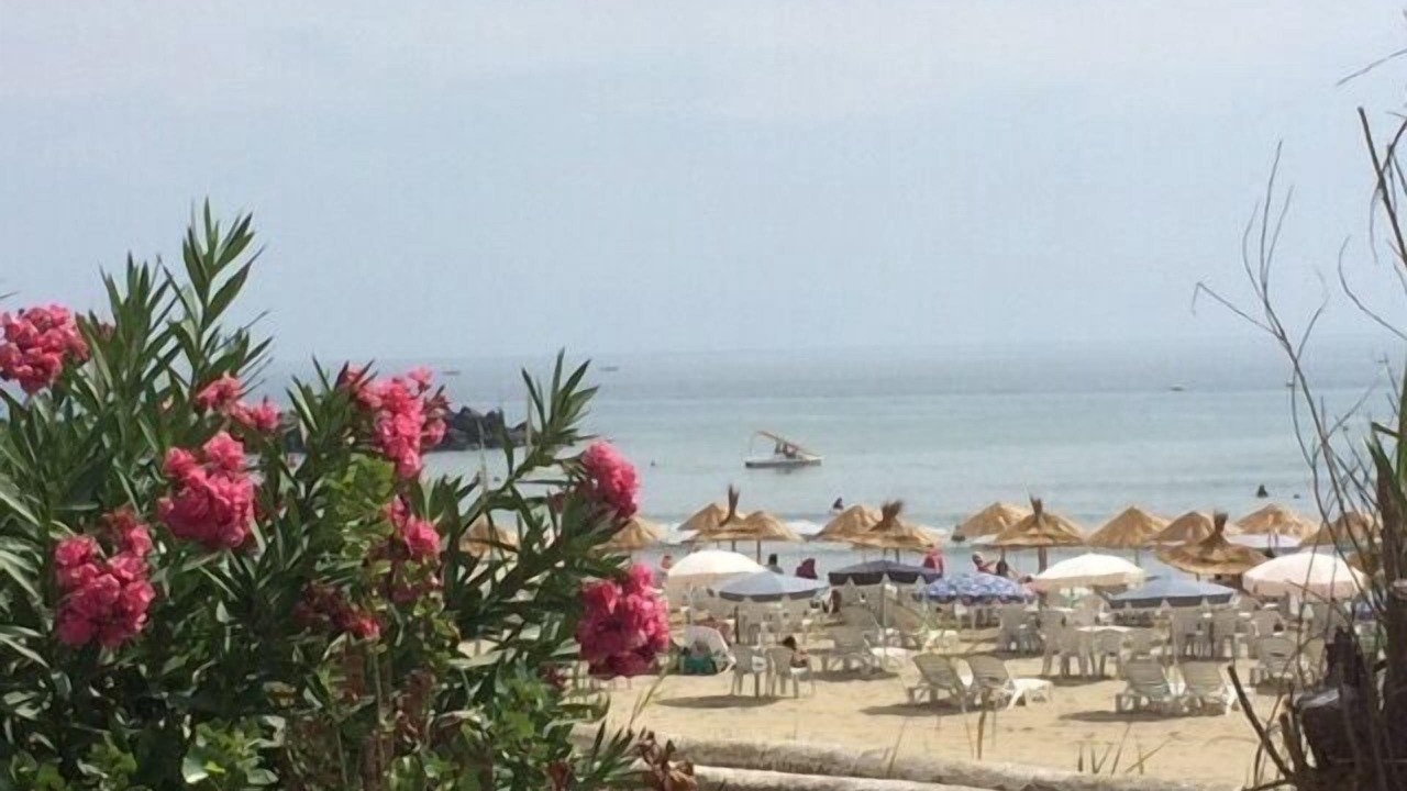Photo of Others in Cabo Negro