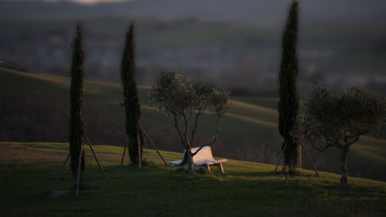 Photo of Outdoor in Monteroni d'Arbia