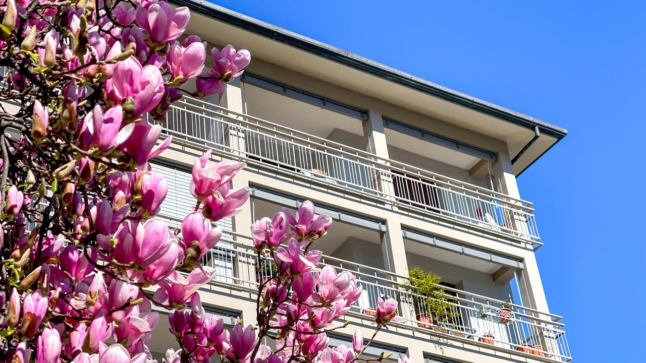 Photo of Outdoor in Sarnico