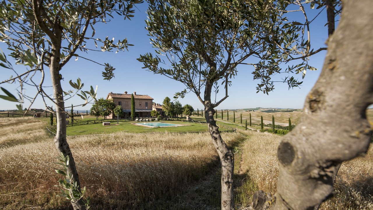 Photo of Outdoor in Monteroni d'Arbia