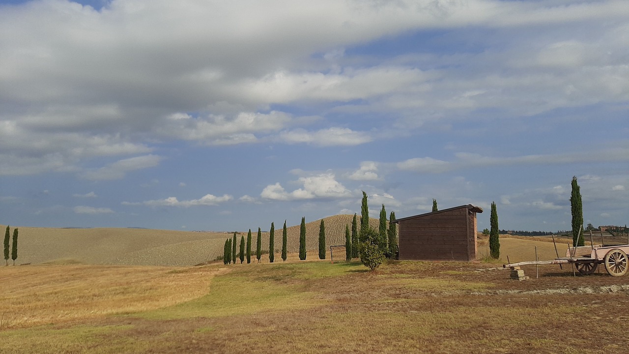 Photo of Others in Monteroni d'Arbia