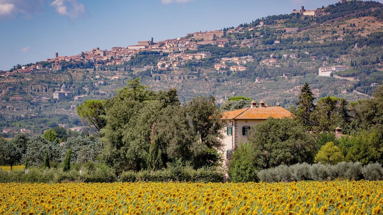 Photo of Others in Cortona