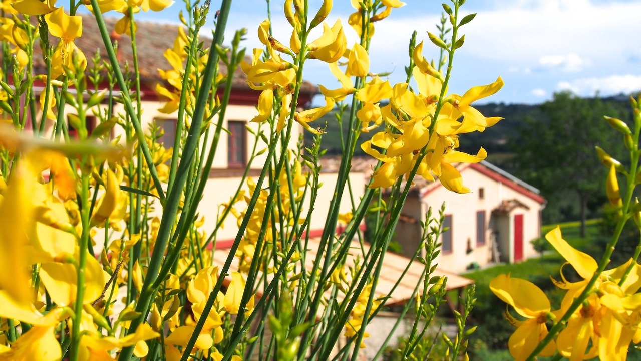 Photo of Outdoor in Montecarotto