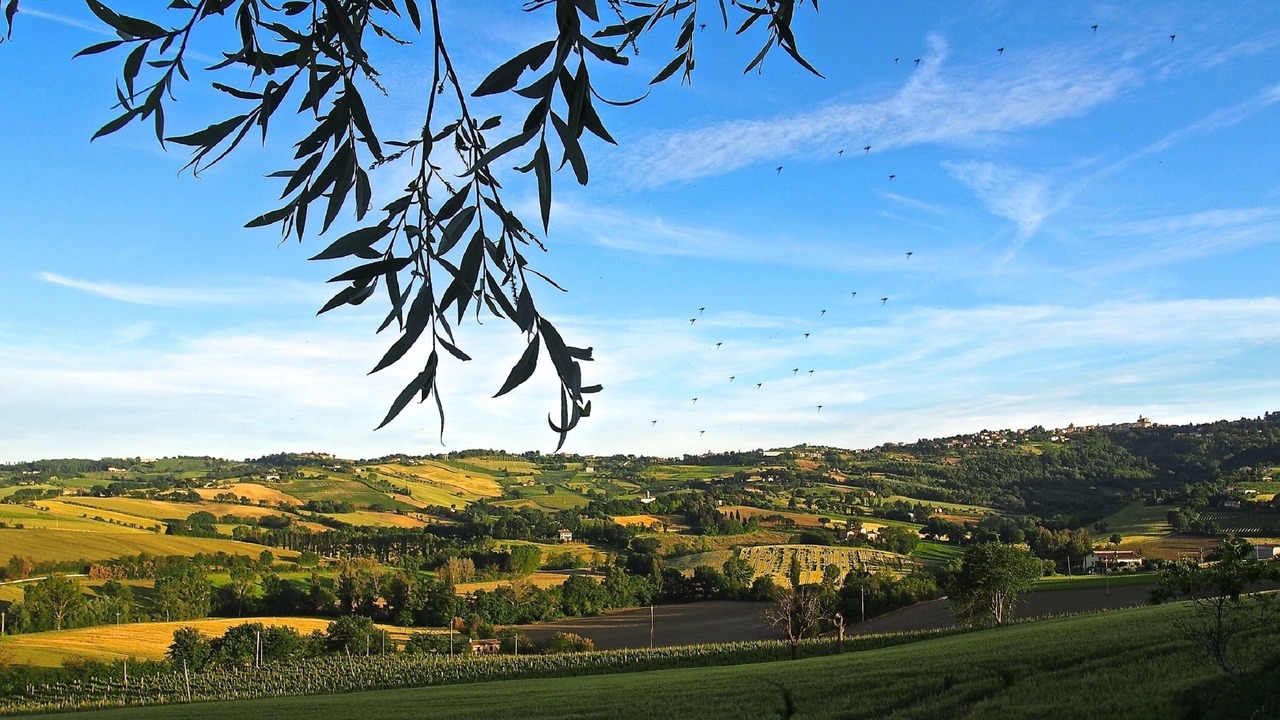 Photo of Others in Montecarotto