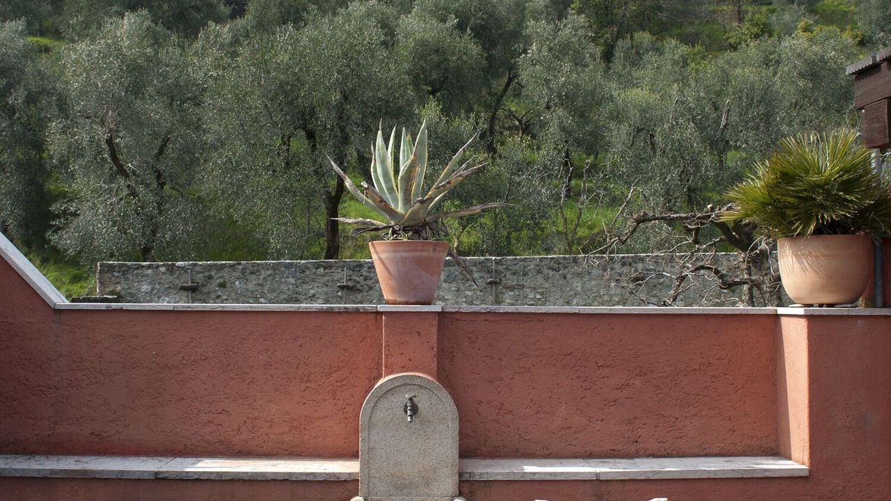 Photo of Outdoor in Fornico