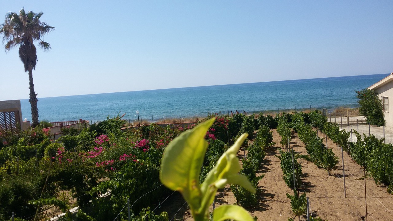 Photo of Outdoor in Marina di Modica