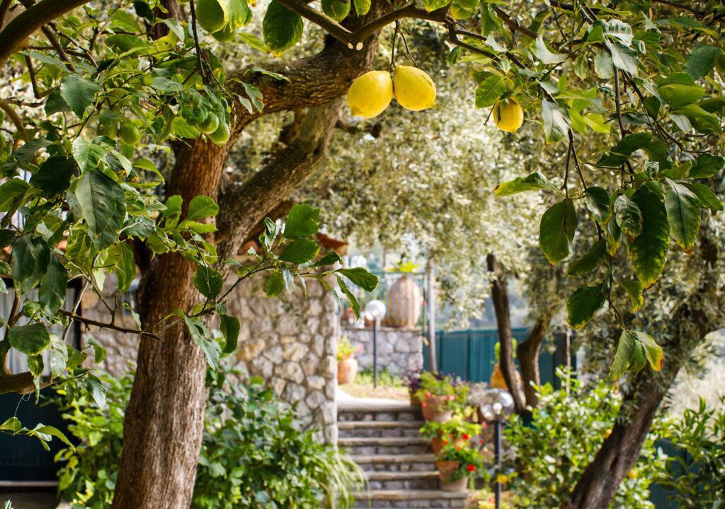 Photo of Outdoor in Schiazzano