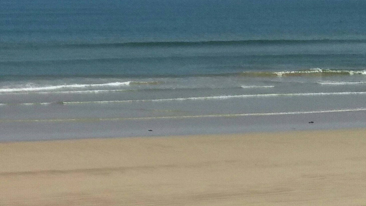 Photo of Others in Castlerock