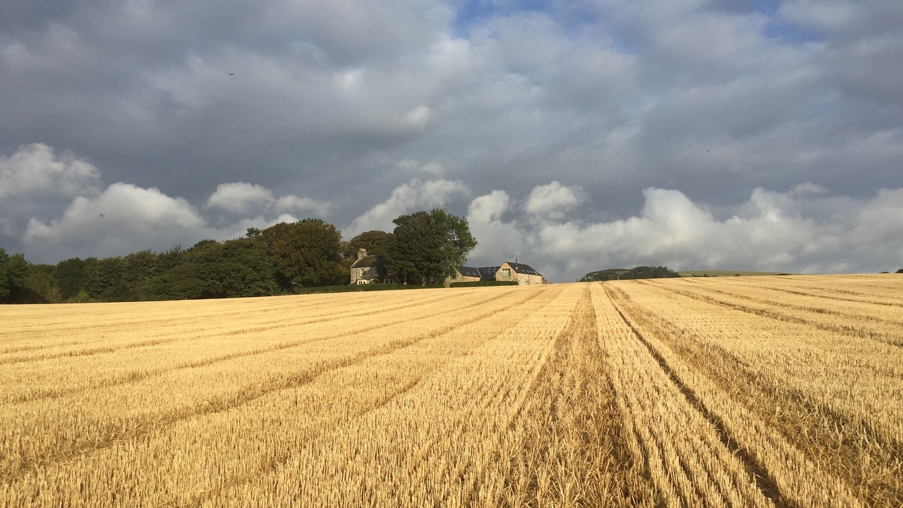 Photo of Others in Dairsie