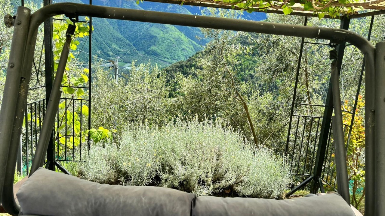Photo of Outdoor in Ardenno