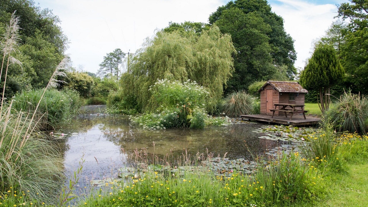 Photo of Outdoor in New Forest District