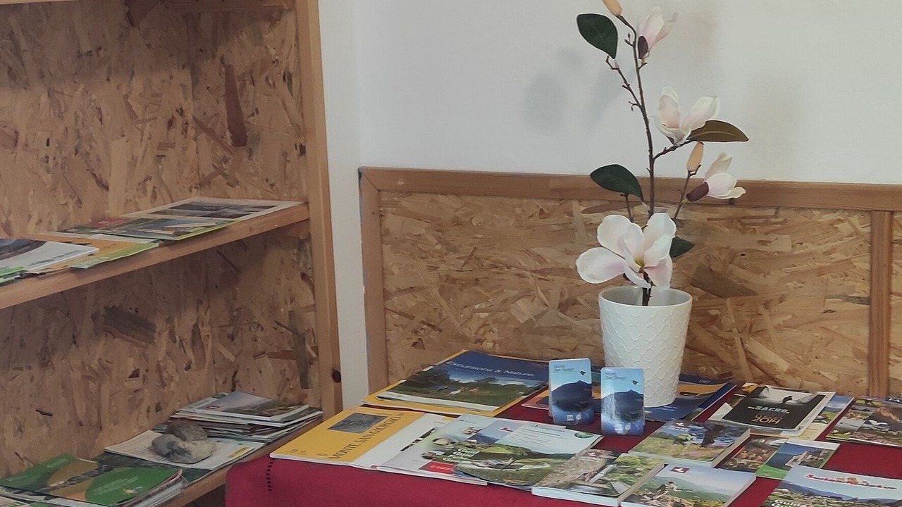 Photo of Others in Porto Ceresio