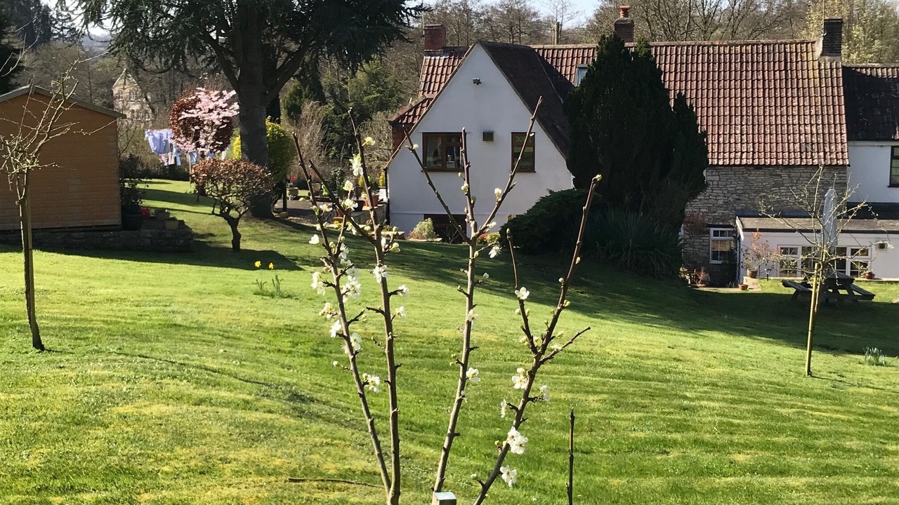 Photo of Outdoor in Compton Dando