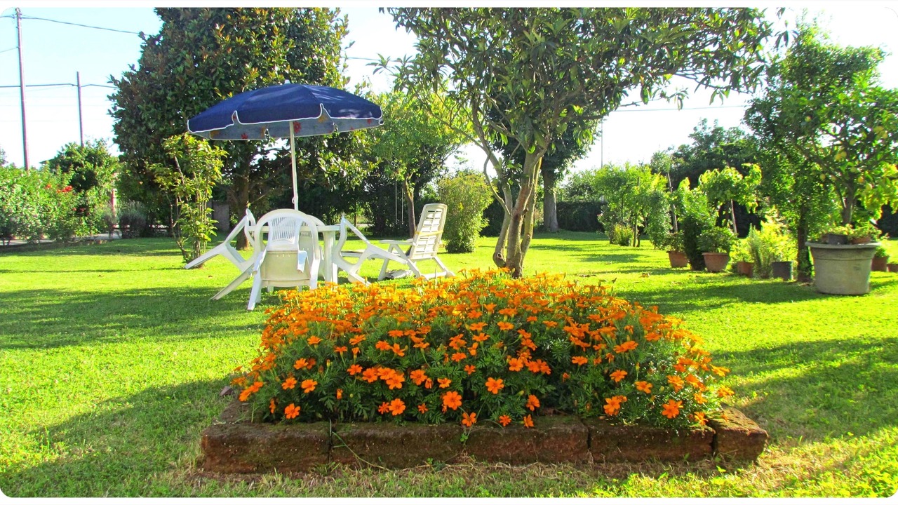 Photo of Outdoor in Spinea