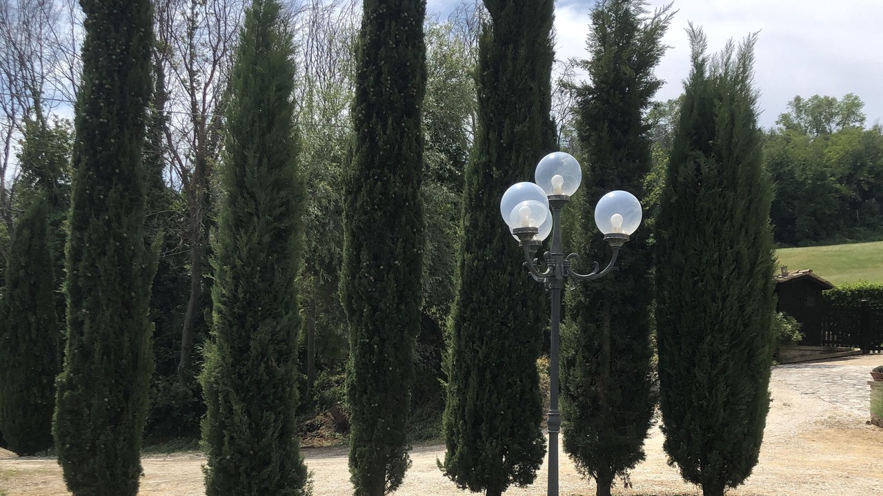 Photo of Outdoor in Cossignano