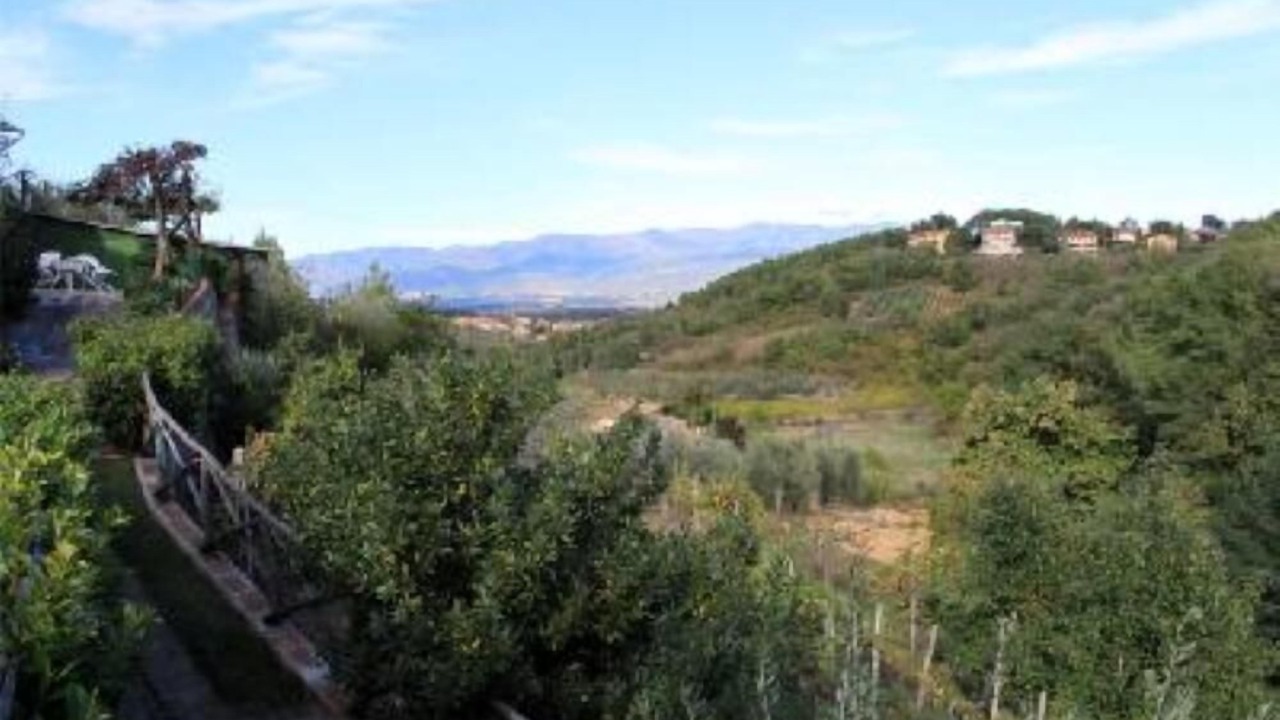 Photo of Others in Cavriglia