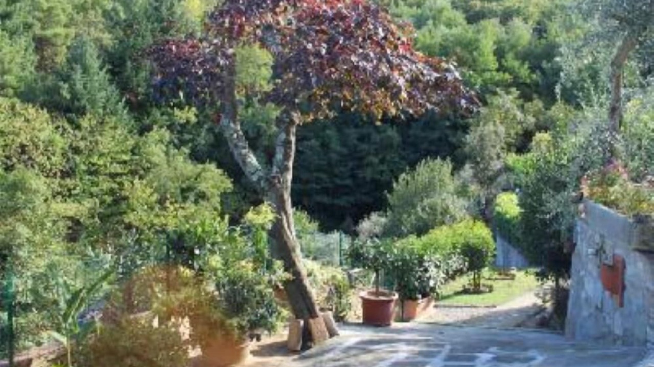 Photo of Outdoor in Cavriglia