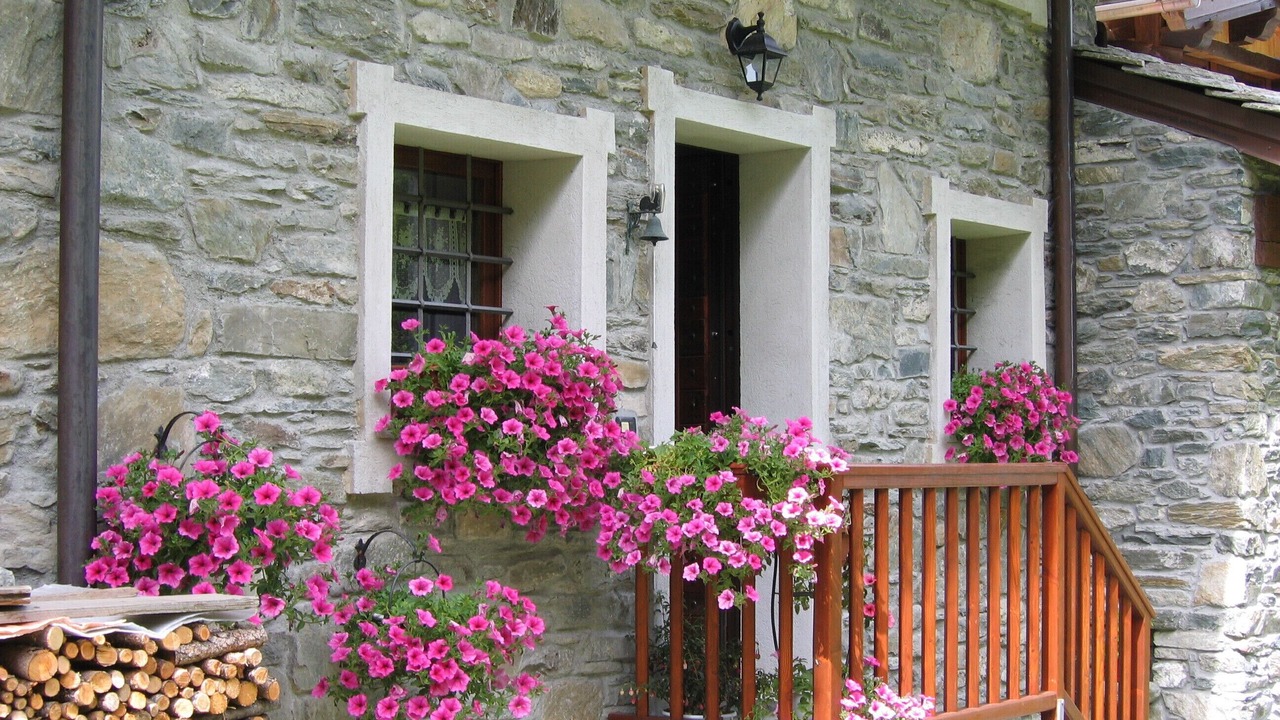 Photo of Outdoor in Arvier