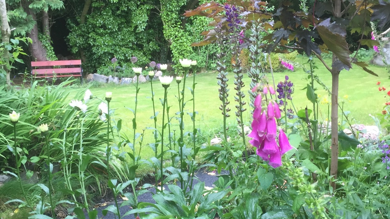 Photo of Outdoor in Cairncastle