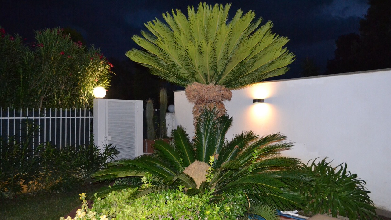 Photo of Outdoor in Fregenae
