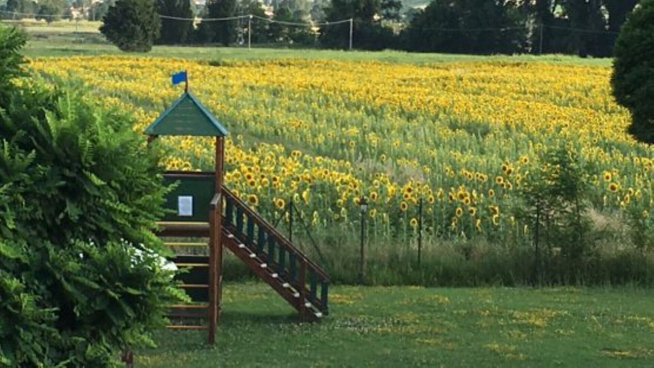 Photo of Outdoor in Cannara