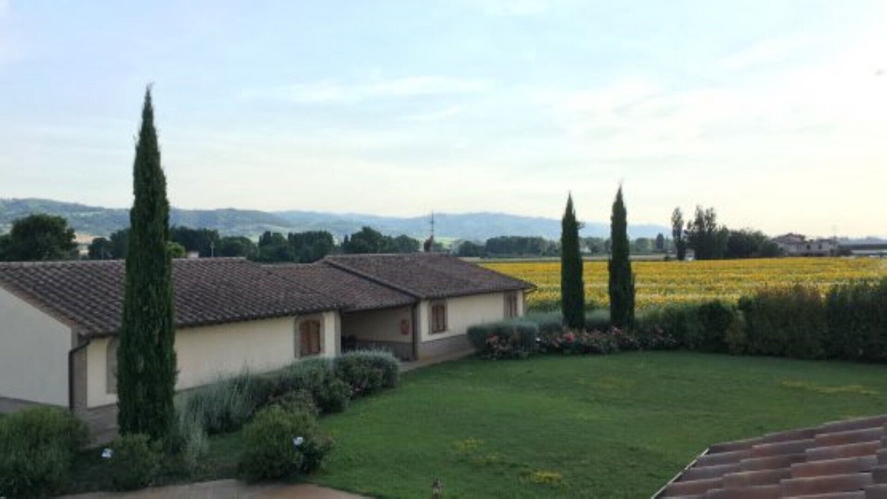Photo of Outdoor in Cannara