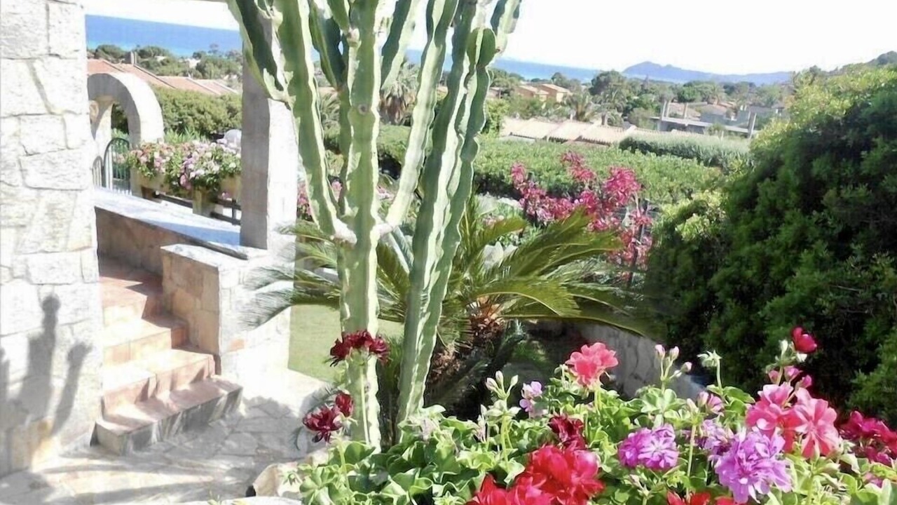 Photo of Outdoor in Costa Rei