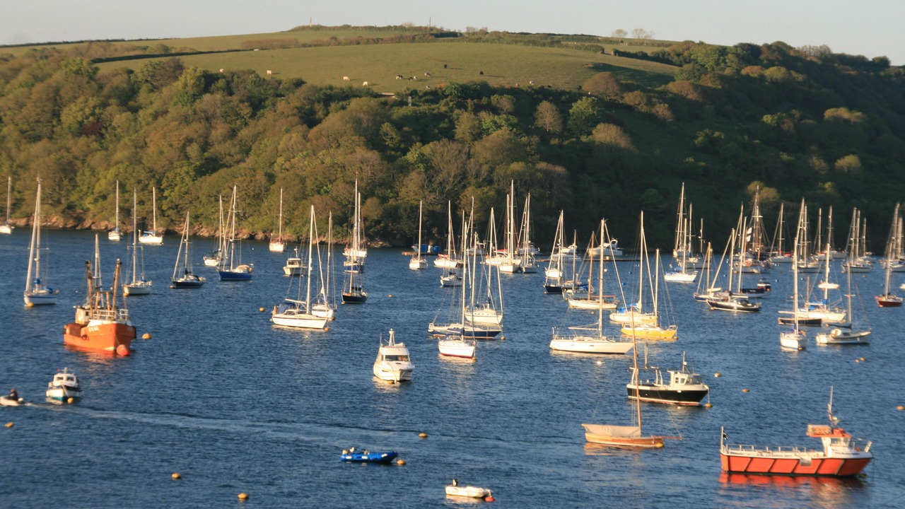 Photo of Others in Polruan