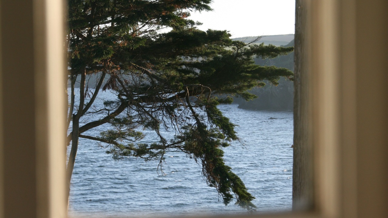 Photo of Others in Polruan