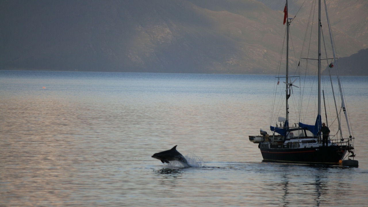 Photo of Others in Isleornsay