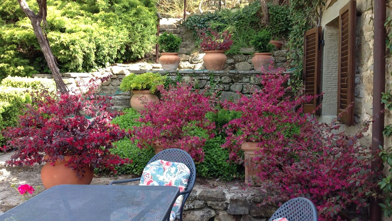 Photo of Outdoor in Bivio Lugnano
