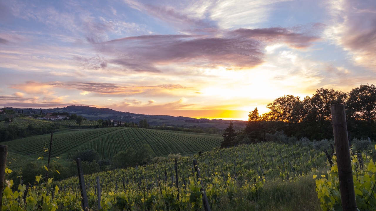 Photo of Outdoor in San Gimignano