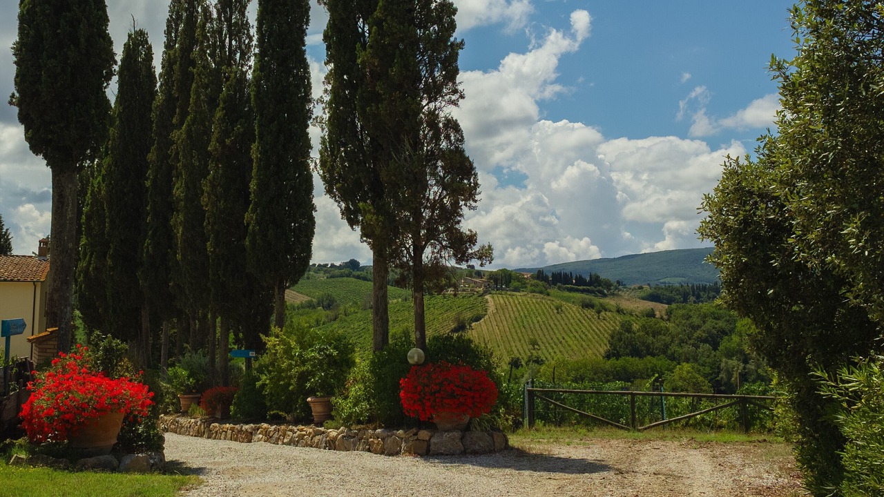 Photo of Outdoor in San Gimignano